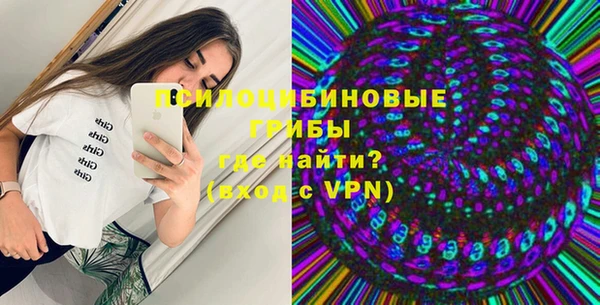 бошки Каменка