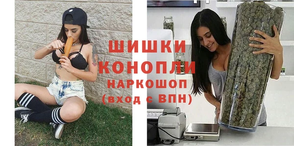 гидра Каменск-Шахтинский