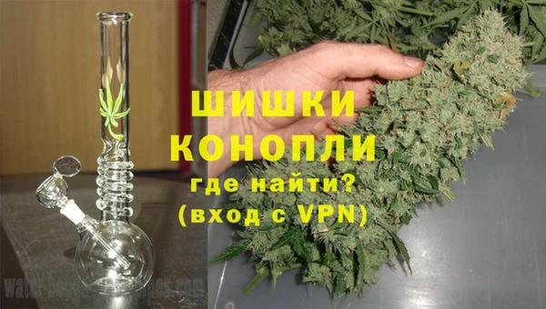 бошки Каменка