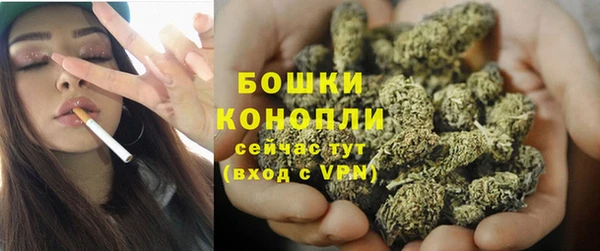 молекула духа Карпинск