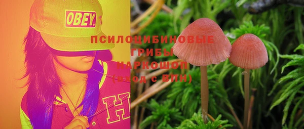 бошки Каменка