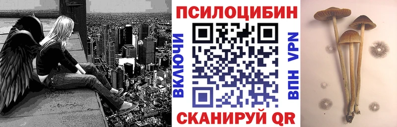 наркошоп Семёнов ОМГ ОМГ ONION сайты даркнета состав Псилоцибиновые грибы ЛСД
